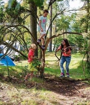 Camping Van Landal Rabbit Hill