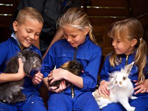 Kids Bij Landal Miggelenberg