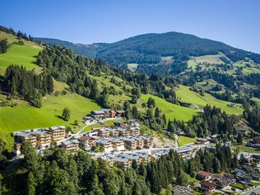 Landal Greenparks Air Miles